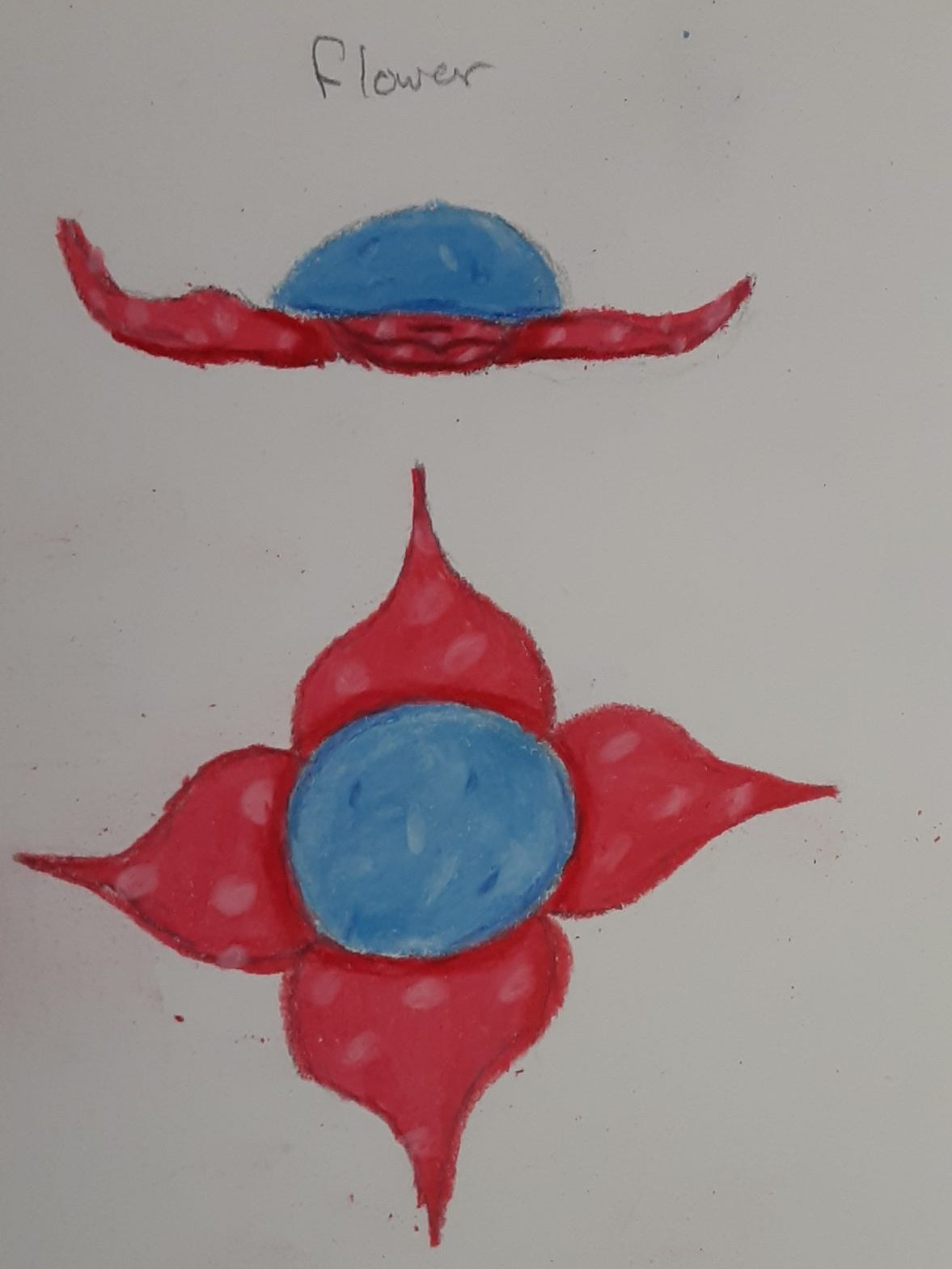 Flower styled bounce pad